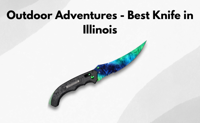 best knife in illinois