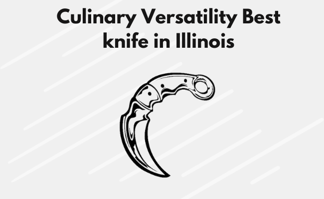 versatility best knife in illinois
